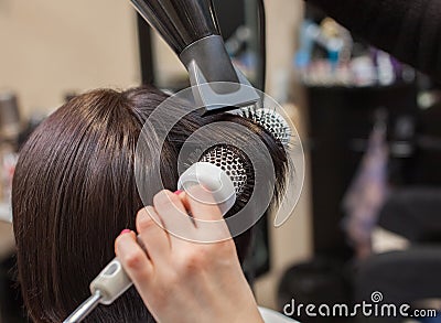 The hairdresser dries her hair a brunette girl Stock Photo