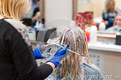 Hairdresser is dying female hair. Hands in glives with brush, coloring in hair salon. Editorial Stock Photo