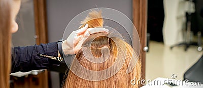 The hairdresser holds a strand in hand between fingers of the female hair. Examination of the hair of the young woman in Stock Photo