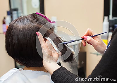 The hairdresser paints the woman`s hair in a dark color, apply the paint to her hair Stock Photo