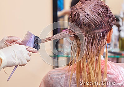 The hairdresser paints the woman`s hair in white, apply the paint to her hair Stock Photo
