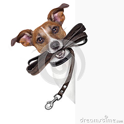 Hairdresser scissors comb dog spray Stock Photo