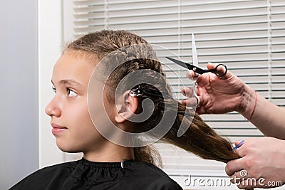 The hairdresser shears the curly, unruly hair of a girl with scissors Stock Photo