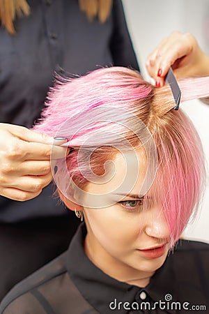 Hairdresser straights pink hair of woman by hair iron Stock Photo