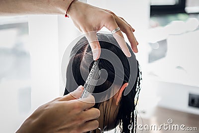 Hairdresser working in hair salon cutting woman`s hair Stock Photo