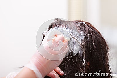 Hairdressing beauty salon. Woman dying hair. Hairstyle. Stock Photo