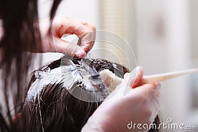 Hairdressing beauty salon. Woman dying hair. Hairstyle. Stock Photo