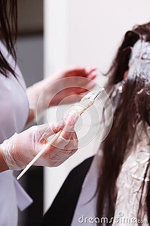 Hairdressing beauty salon. Woman dying hair. Hairstyle. Stock Photo