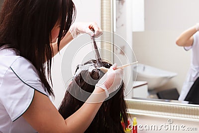 Hairdressing beauty salon. Woman dying hair. Hairstyle. Stock Photo