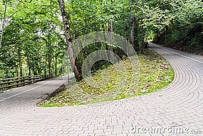 Only hairpin in Baltics, Gauja National Park, Latv Stock Photo