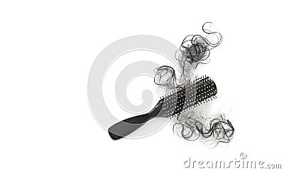 Hairs loss in brush on white background, blank text Stock Photo