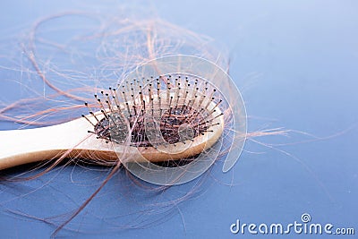 Hairs loss fall in comb on dark Stock Photo