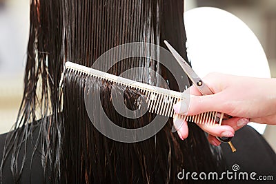 Hairstylist cutting hair woman client in hairdressing beauty salon Stock Photo