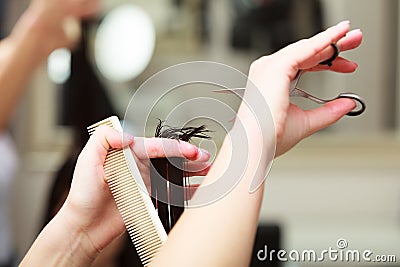 Hairstylist cutting hair woman client in hairdressing beauty salon Stock Photo