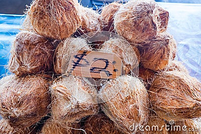 Hairy brown coconuts in husks for sale at Fugalei fresh produce Stock Photo