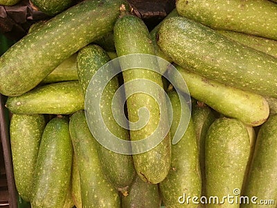 But this hairy or cit kwa is a cucumber vegetable which with various recipes like other cucumbers also has many benefits Stock Photo