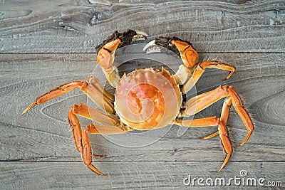 Hairy crabs, chinese cuisine Stock Photo