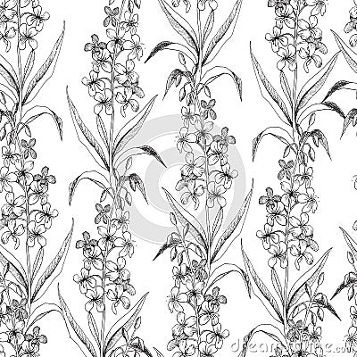 Hairy willow herb pattern Vector Illustration