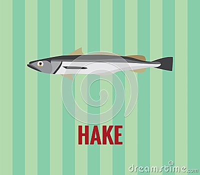 Hake - drawing on green background. Stock Photo