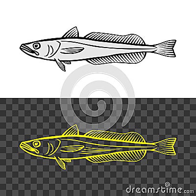 Hake fish common illustration. Cape hake logo. Vector Illustration