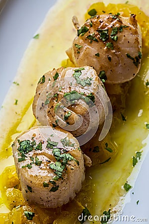 Hake medallions viewed from above, gourmet dish Stock Photo