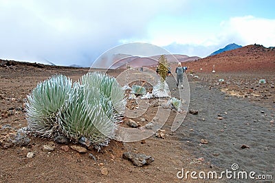 Haleakala crater with trails in Haleakala National Park on Maui Stock Photo