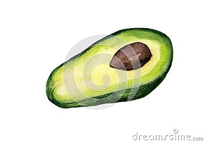 Half of avocado Stock Photo