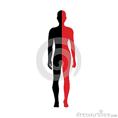 Half body Male and female Anatomy Vector Illustration