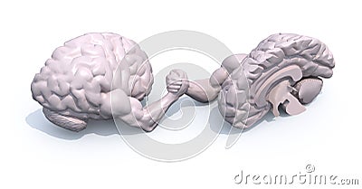 Half brains that make arm wrestlin Cartoon Illustration