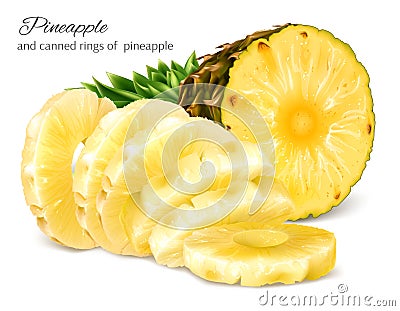 Half cut and canned sliced pineapple. Vector Illustration