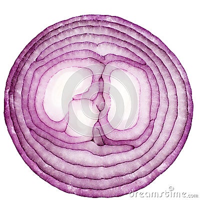 Half of cut red onion isolated on white background Stock Photo