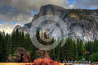 Half Dome Yosemite Valley Stock Photo