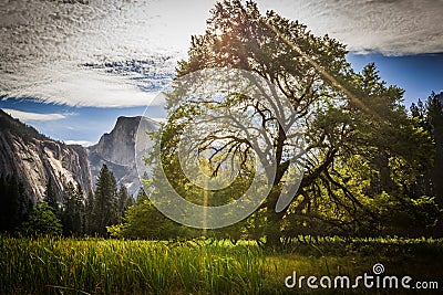 Half Dome and Yosemite Valley in Summer Time Stock Photo