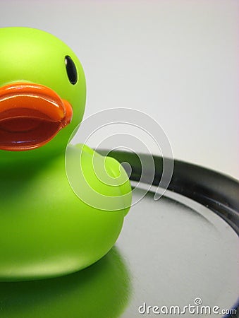 Half duck 2 Stock Photo