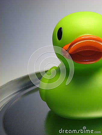 Half duck Stock Photo