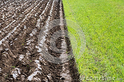 Half field plowed Stock Photo