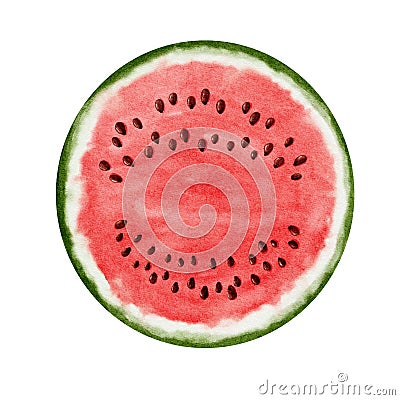 Half fresh watercolor watermelon isolated on white background Cartoon Illustration
