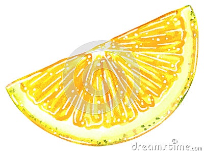 Half lemon slice watercolor illustration Cartoon Illustration