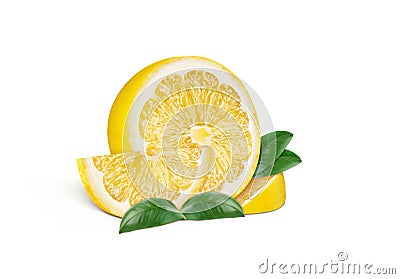 Half lemon with lemon slices and leaves on a white background. Vector Illustration