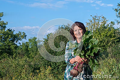 Portrait of a smiling elderly woman with a crop of carrots and lights with tops in her hands in the garden Stock Photo