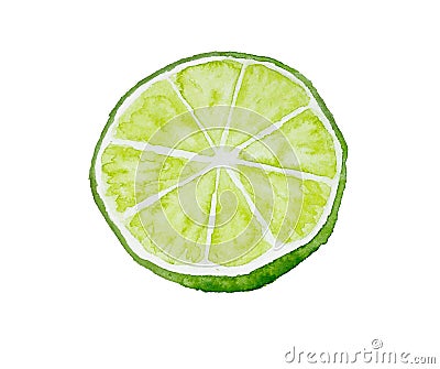 Half of lime. Watercolor illustration. Drawn by hand. Cartoon Illustration