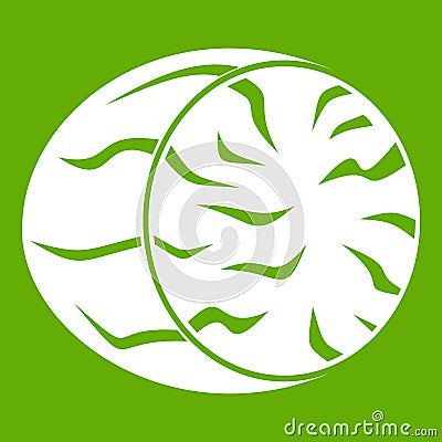 Half of nutmeg icon green Vector Illustration