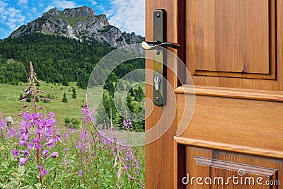 Half opened door into the beautiful nature, environmental protection concept, hope Stock Photo