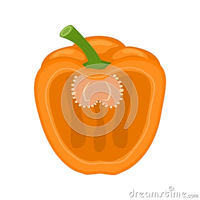 Half orange bell pepper vector illustration isolated on white ba Vector Illustration