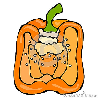 Half of Orange Paprika, Bell Pepper or Sweet Bulgarian Pepper. Isolated On a White Background. Realistic and Doodle Vector Illustration