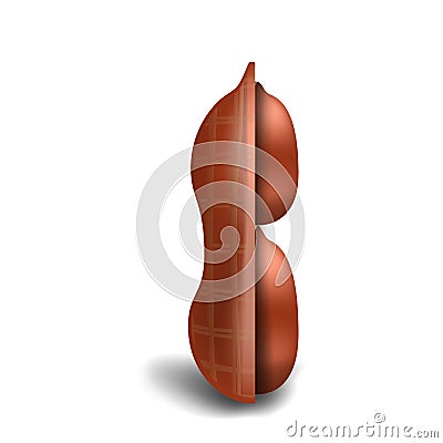 Half peanut in shell icon, realistic style Vector Illustration