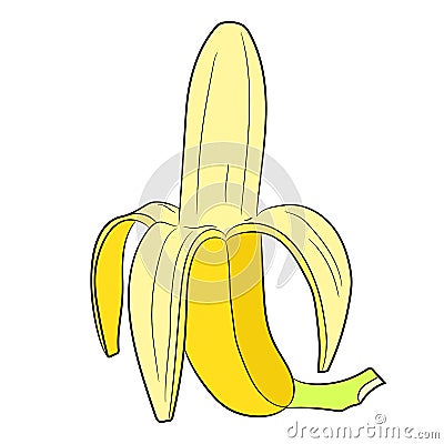 Half peeled banana vertical on white of illustrations Cartoon Illustration