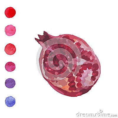 Half of pomegranate. Grenades in a cut on a white background. Pa Vector Illustration