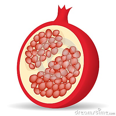 Half pomegranate icon, realistic style Vector Illustration