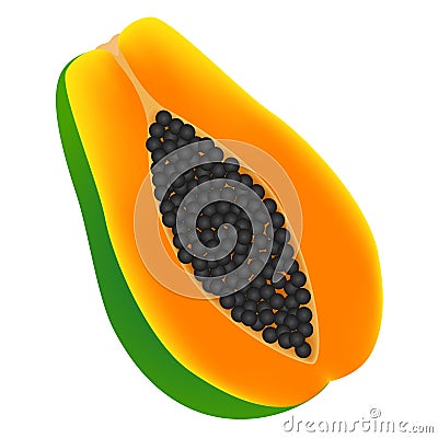 Half ripe papaya fruit isolated on white background. Vector Illustration